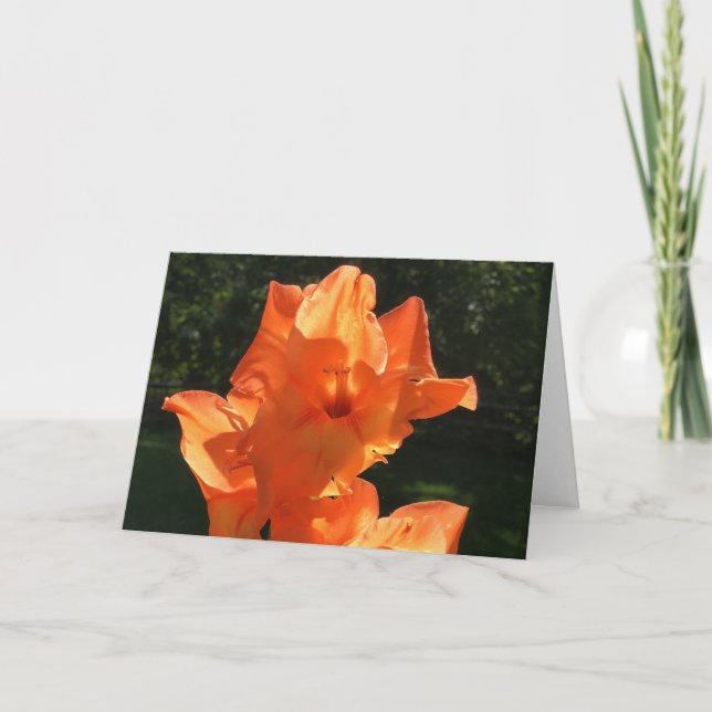 Gladioli, cartão (Frente)