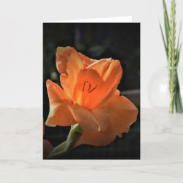 Gladioli, cartão