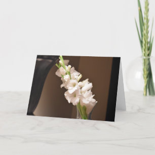 Gladioli, cartão