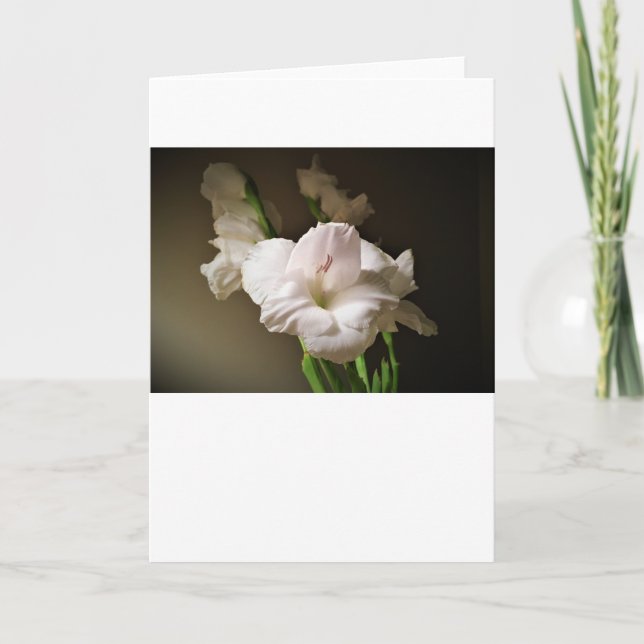 Gladioli, cartão (Frente)