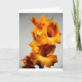 Gladíolos, Cartão