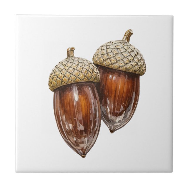 Glassy Acorns (Frente)