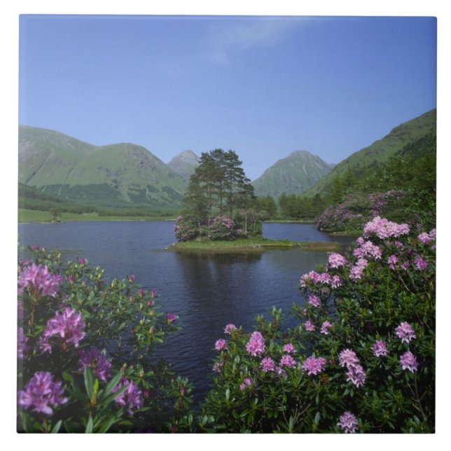 Glen Etive, Highlands, Escócia (Frente)