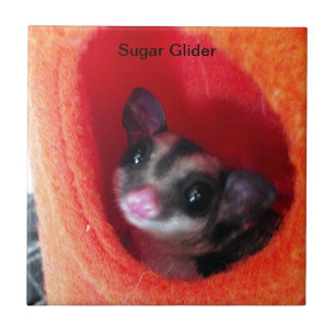 Glider em Laranja na Cama
