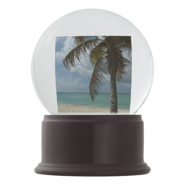 Globo De Neve Aruban Beach I Linda cena natural (Frente)