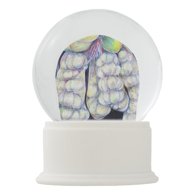 Globo De Neve As Maravilhas dos Mercados Molhados, Singapura (Frente)