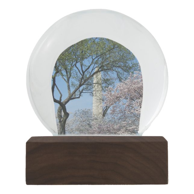 Globo De Neve Cherry Blossoms e o Monumento de Washington em DC (Frente)