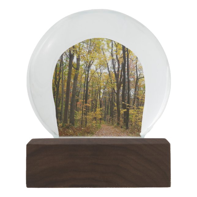 Globo De Neve Fall Trail and Ouro Leaves no Laurel Hill Park (Frente)