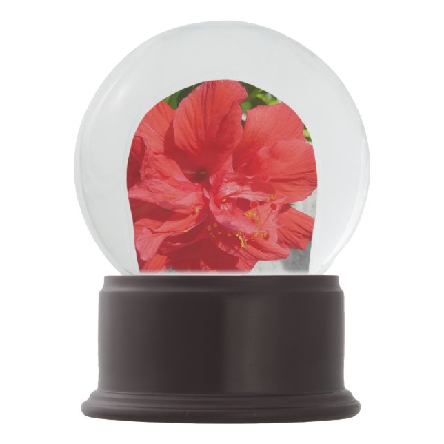 Globo De Neve Flor Red Double Hibiscus (Verso)