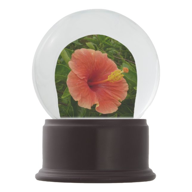 Globo De Neve Floral Tropical de Laranja Hibiscus (Verso)