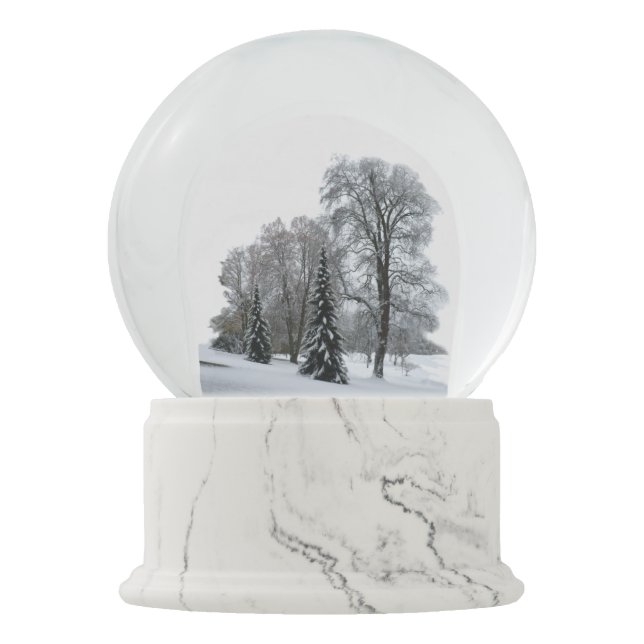 Globo De Neve Floresta Snowglobe da neve do globo da neve do (Frente)