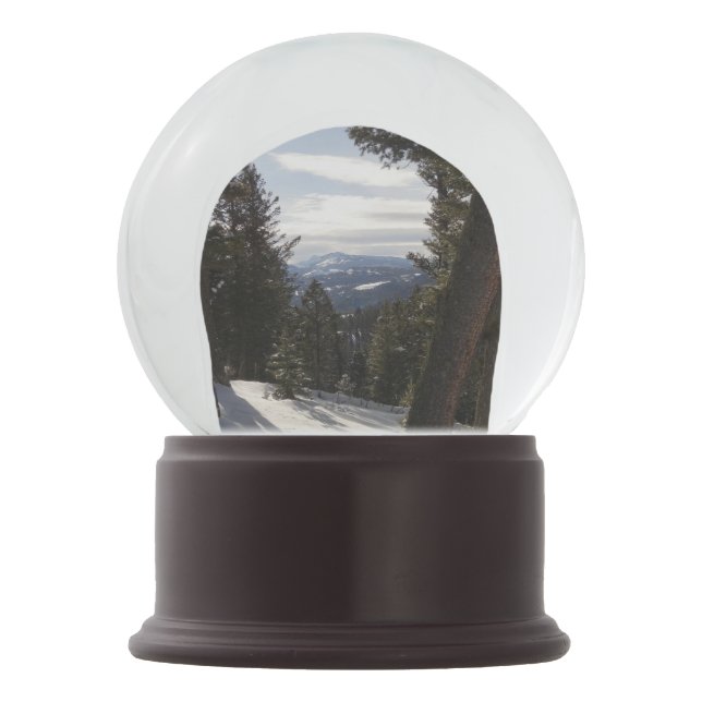 Globo De Neve Madison Mountain em inverno em Montana (Frente)