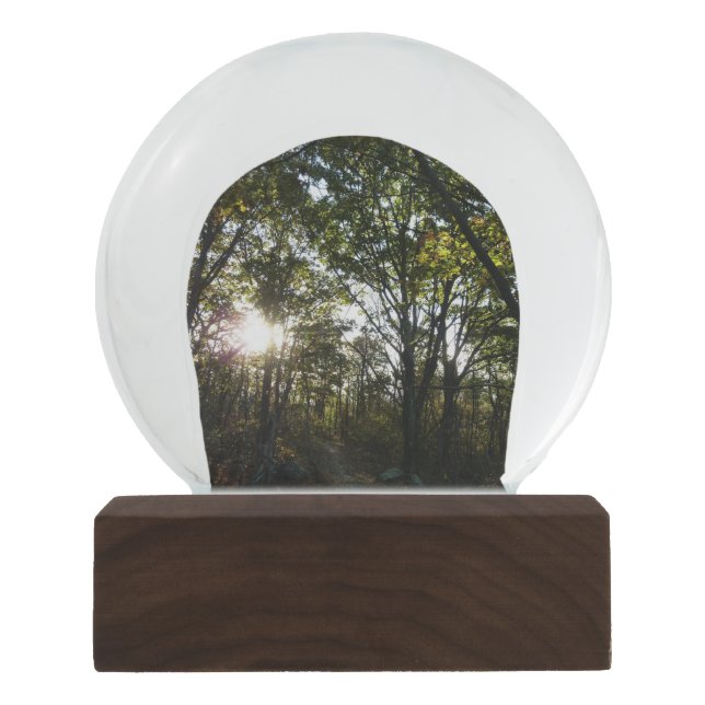 Globo De Neve Manhã do outono no Parque Nacional de Shenandoah (Frente)