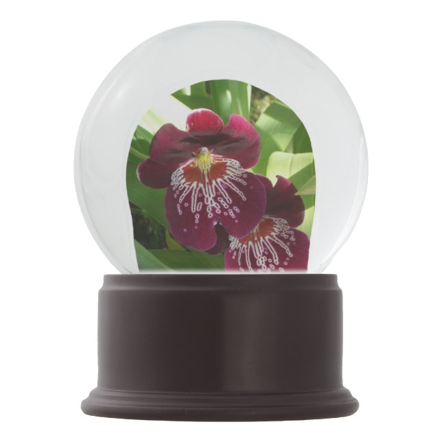 Globo De Neve Maroon Orchids II Elegante Floral (Verso)