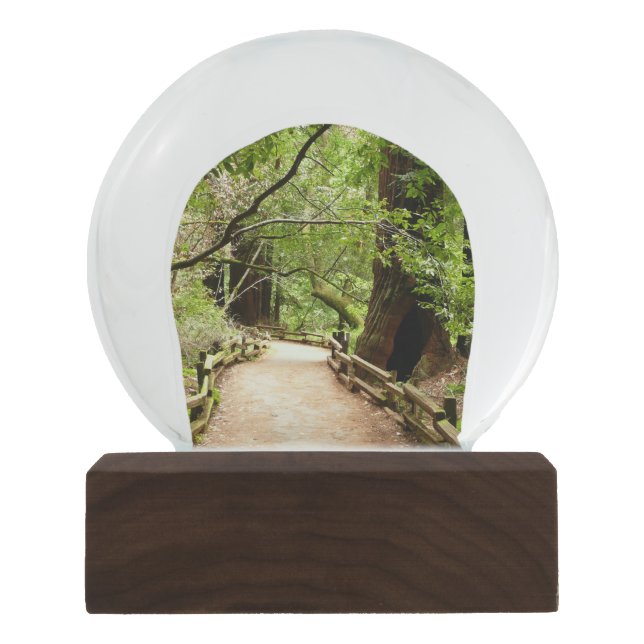 Globo De Neve Muir Woods Path II - Fotografia natural (Frente)