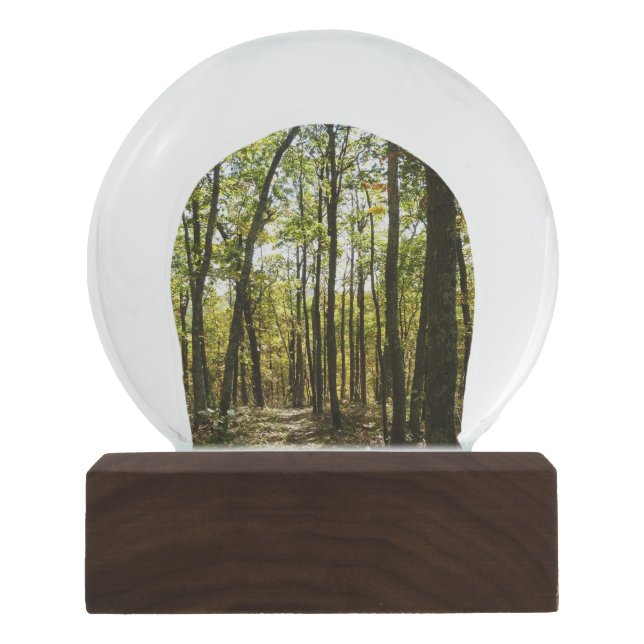 Globo De Neve Trilha Appalachian em outubro em Shenandoah (Frente)