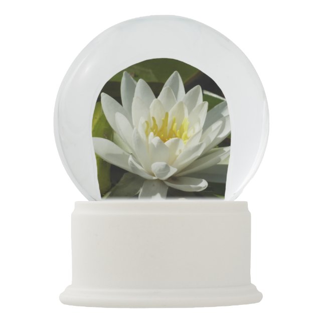 Globo De Neve White Waterlily e Bud Floral (Frente)