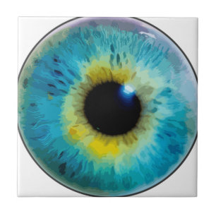 Globo ocular - íris