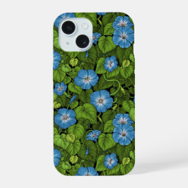 Glória da manhã em azul e verde