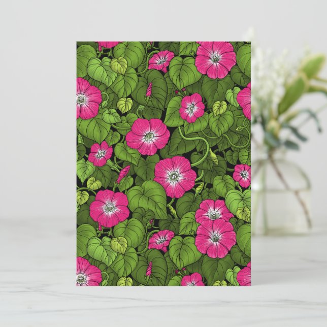 Glória da manhã em rosa e verde (Em pé/Frente)