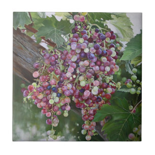 Glória das Vinhas - Arte do Vineyard hiperrealista