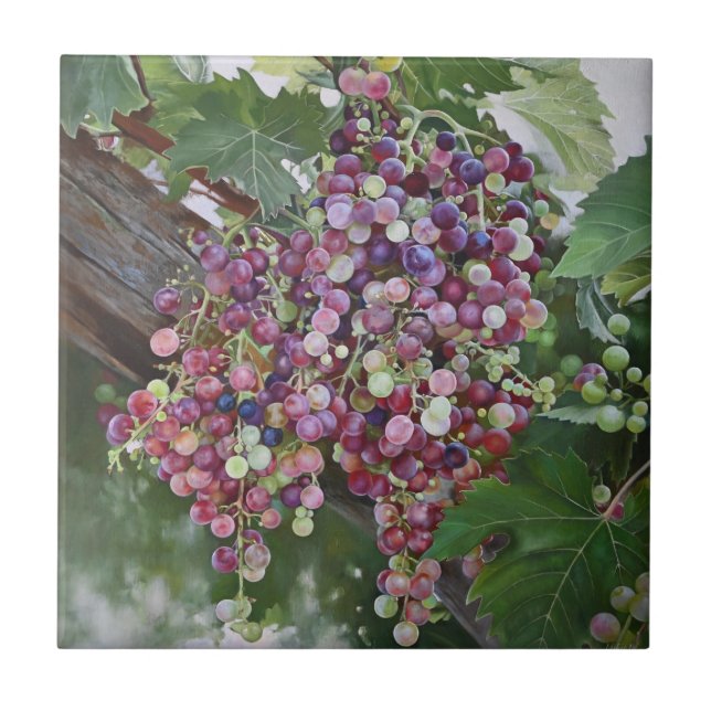 Glória das Vinhas - Arte do Vineyard hiperrealista (Frente)