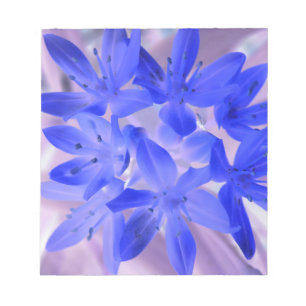 Glória do Bloco de Notas Azul Chocante da Neve