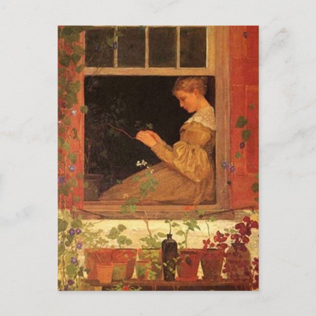 Glórias da manhã - Cartão postal (Frente)