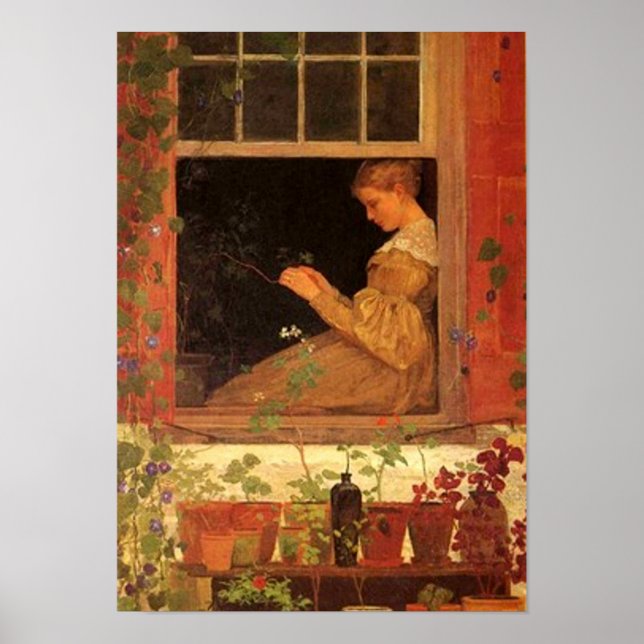 Glórias da manhã - Impressão (Frente)