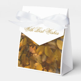 Glorioso outono em caixa de favor (1)