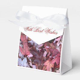 Glorioso outono em caixa de favor (3)