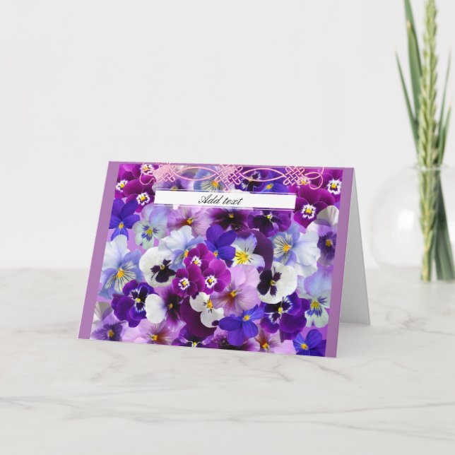 Glorioso Pansies Modelo (Frente)