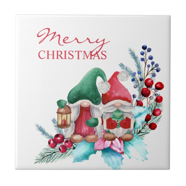 Gnomos de Cores Aquáticas (Frente)