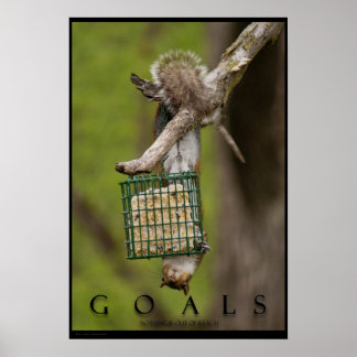 GOALS Inspiron Funny Squirrel Poster