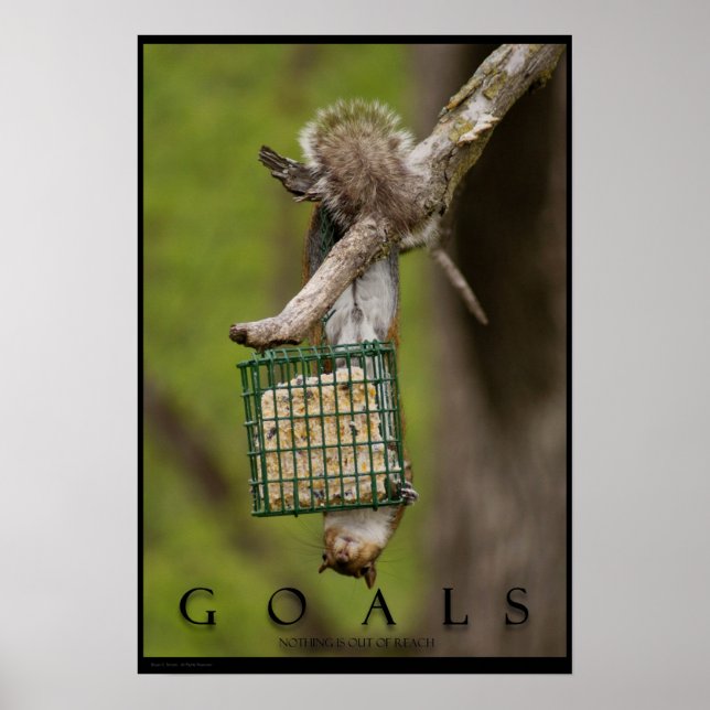 GOALS Inspiron Funny Squirrel Poster (Frente)