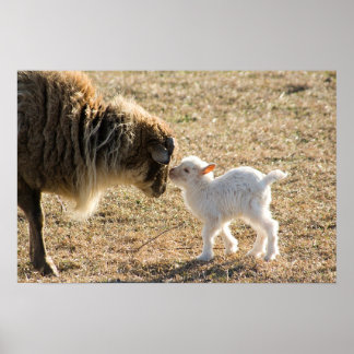 Goat e sua Impressão bebê