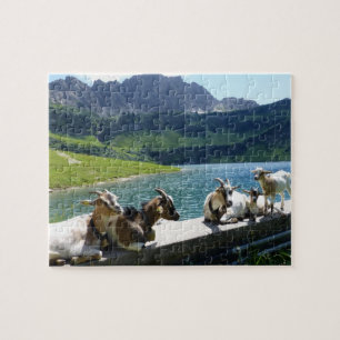 Goats Soaking Up the Sun Jigsaw Quebra-cabeça