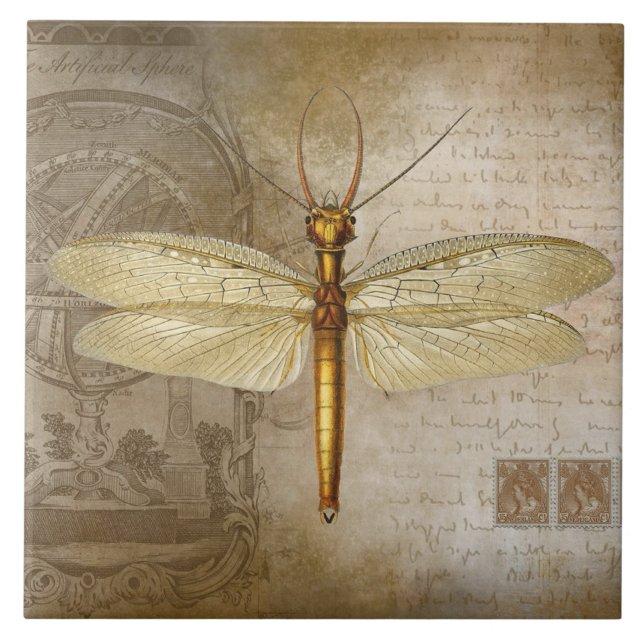 GOLDEN DRAGONFLY TILE (Frente)
