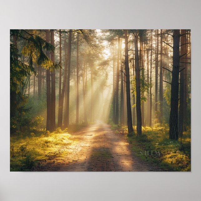 Golden Forest Morning Light Wall Art Poster (Frente)
