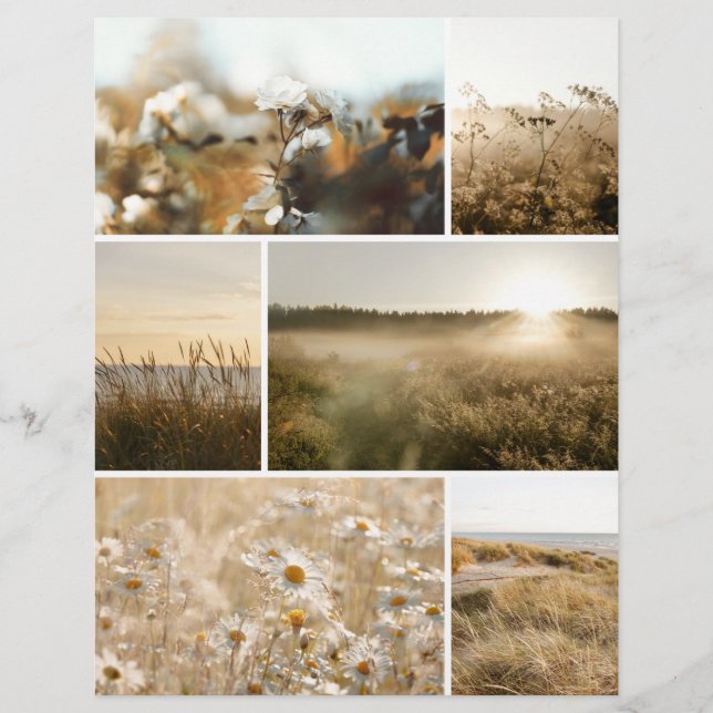 Golden hour nature Scrapbook paper for cutouts (Frente)