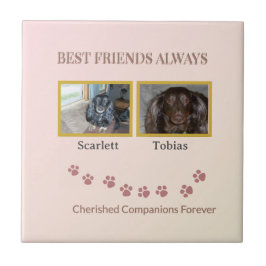 Golden Pawprints Cherished Companions