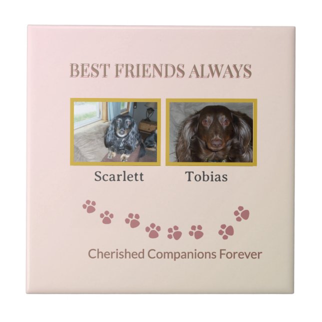 Golden Pawprints Cherished Companions (Frente)