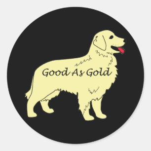 Golden retriever bom como a etiqueta Dourado