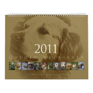 Golden retriever - calendário de parede 2011