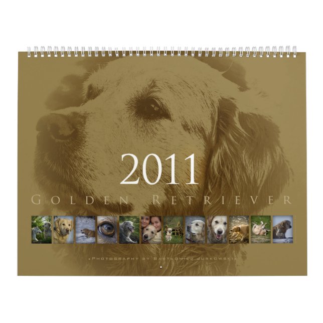 Golden retriever - calendário de parede 2011 (Capa)