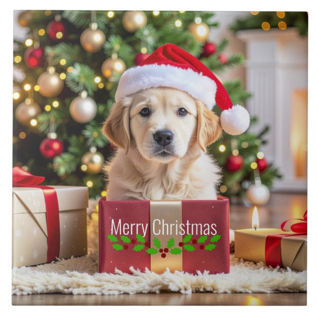 Golden Retriever Christmas (Frente)