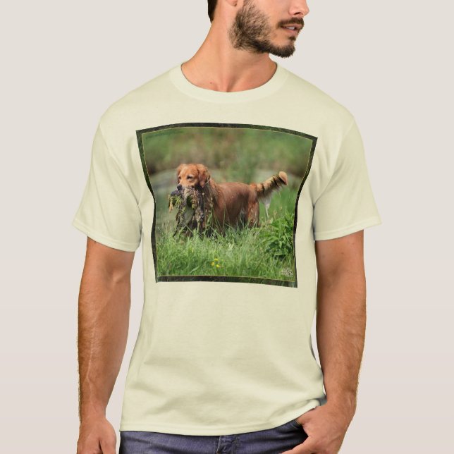 Golden retriever com a camisa do pato do pato (Frente)
