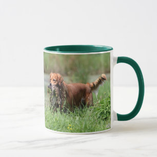 Golden retriever com caneca do pato