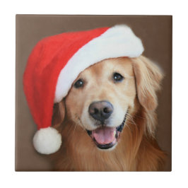 Golden retriever com chapéu do papai noel