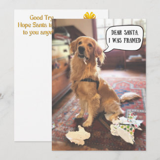 Golden Retriever em Apuros com o Papai Noel Natal